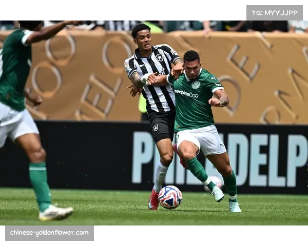 帕尔梅拉斯自由杯大胜基多体大 国内赛场信心倍增